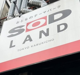 풍속 영업법 위반 'SOD LAND' 풍속 영업 허가 획득 후 영업 재개!