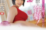 Fitch 2023년 10월 17일 AV 품번