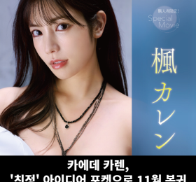 카에데 카렌 친정 복귀, 아이디어 포켓에서 11월 복귀작 발매