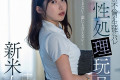 2023년 12월 26일 주요 신작 AV 품번 - SOD, DAHLIA, FALENO