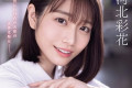 2024년 2월 23일 주요 신작 AV 품번 - Madonna, ROYAL, S1, TEPPAN, VENUS