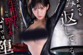 FALENO 2024년 2월 AV 품번