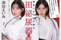 2024년 7월 14일자 주요 신작 AV 품번 - FALENO
