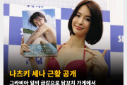 그라돌 나츠키 세나 근황 공개 그라비아 일의 급감으로 닭꼬치 가게에서 주 5일 알바 중