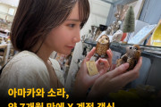 아마카와 소라, 약 7개월 만에 X 계정 갱신 AV 배우 활동 재개하나?