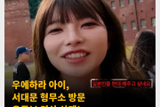 우에하라 아이,  서대문 형무소 방문 유튜브 영상 삭제! 일본인들 비난 쇄도