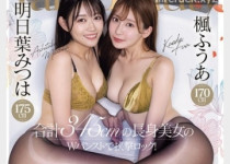AV 2025년 4월 25일자 신작 품번 정보 - 봄의 팬츠 축제, h.m.p, FALENO