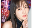 AV 2025년 5월 8일자 신작 품번 정보 - PRESTIGE, FALENO