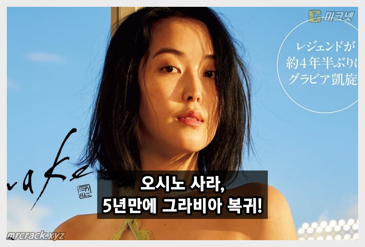 오시노 사라 그라비아