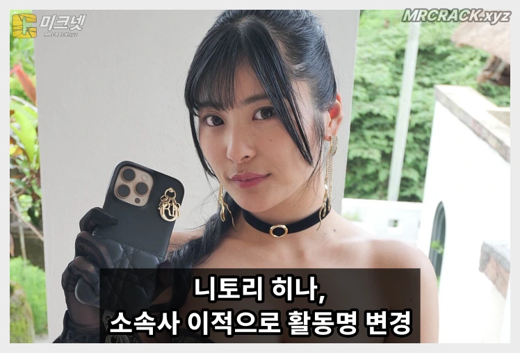 니토리 히나, 소속사 이적과 함께 활동명 변경… 발음은 그대로 \'니토리 히나\' - 1