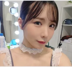 에비사키 아오 AV 업계 전격 은퇴 발표, 2026년 12월 작품이 끝이 될 예정