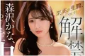 GLORY QUEST 2026년 07월 28일 발매 품번 정보