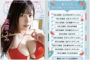 '건담녀' 그라돌 시노노메 우미, 여름 시즌 11개 잡지 표지 싹쓸이… 코미케 출격까지