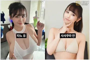 타노 유 & 사사쿠라 안, 구마모토 지진 피해 성금 기부… 악플러의 조롱에 타노 유 