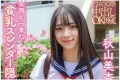 P.K.P.D 2026년 11월 17일 발매 품번 정보